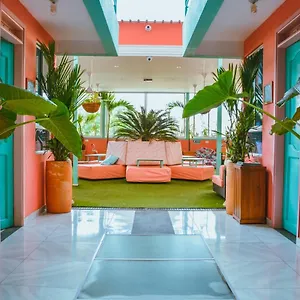  Hostal Flamingo & Coworking Colombia